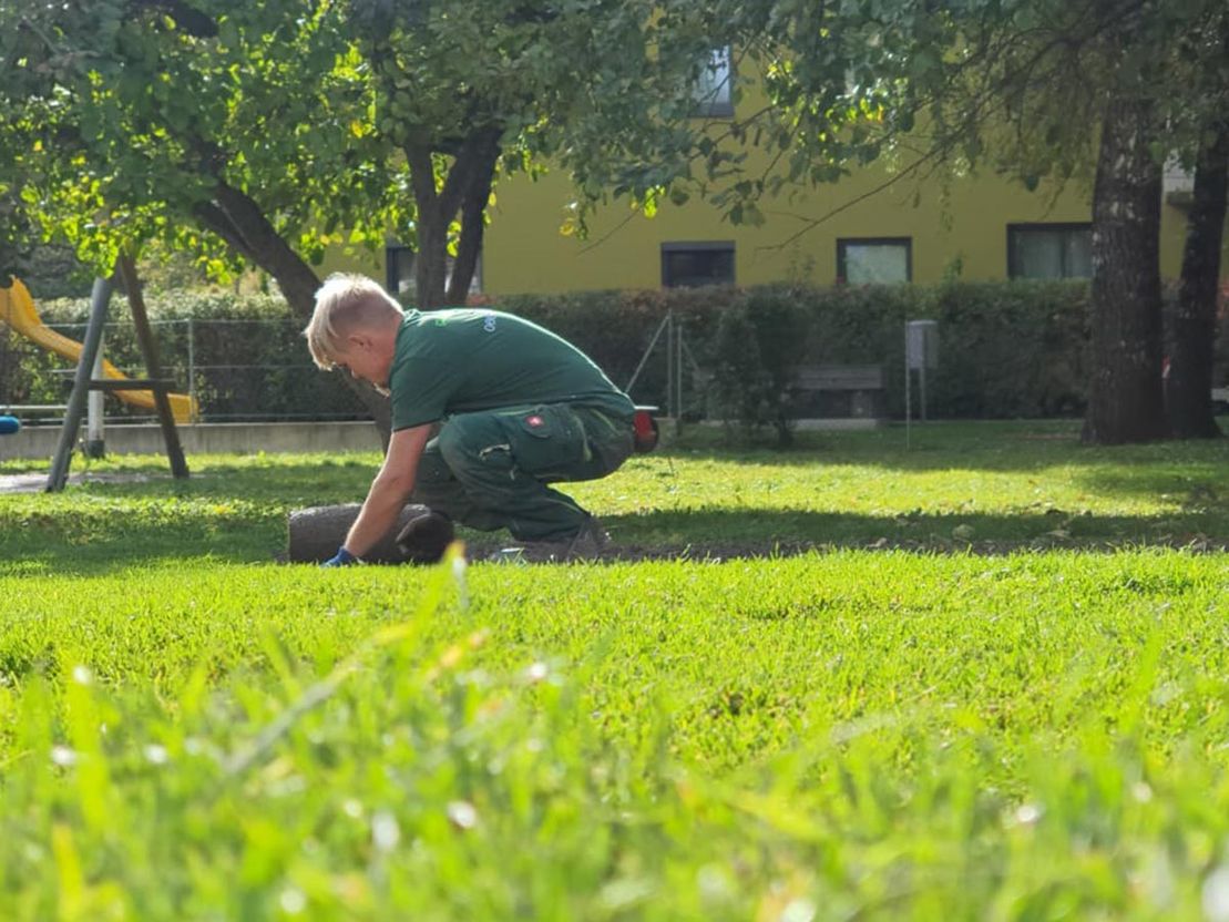 Gartenpflege