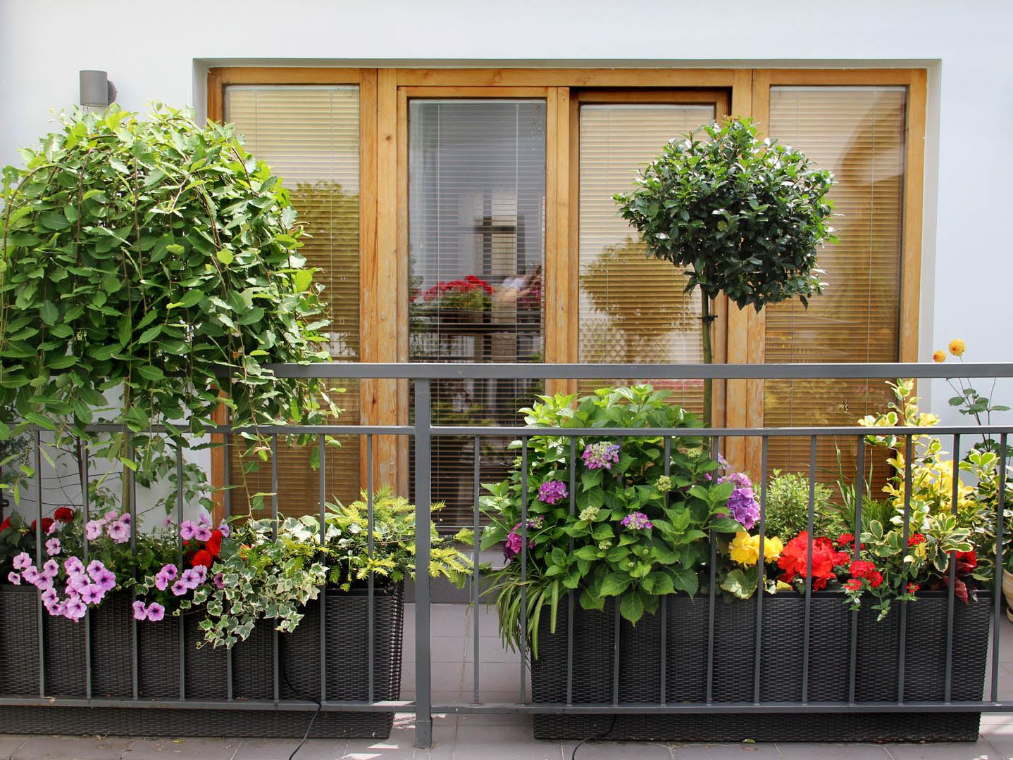 Balkon mit Blumenkästen